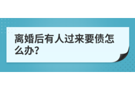 湘阴为什么选择专业追讨公司来处理您的债务纠纷？